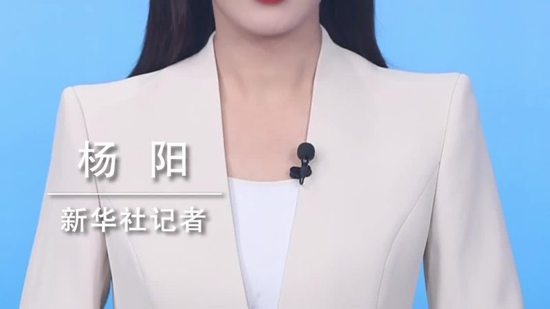 机器学习平台SaaS收费模式解析：模式与考量**